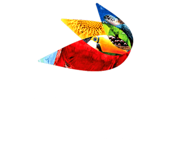 Logotipo Kokar